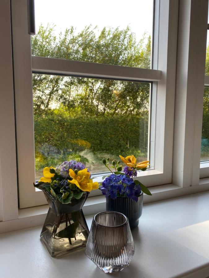 Store Hojbjerg - Ferielejlighed Ringkøbing Zewnętrze zdjęcie